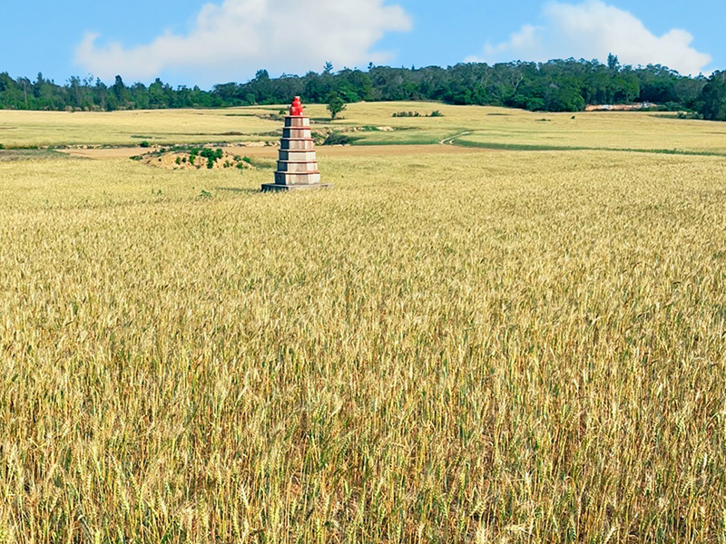 【作夥逗陣去旅行】太武山、沙溪堡、風獅爺彩繪DIY、高粱嗆蟹經典金門金好玩三日趣